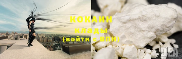 дживик Абаза