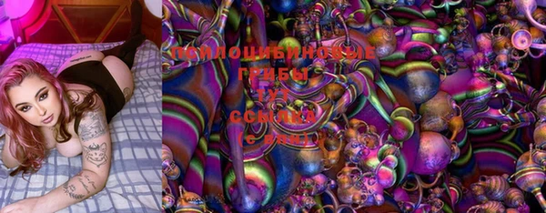 шишки Абинск