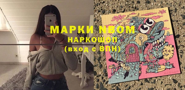 шишки Абинск