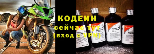дживик Абаза