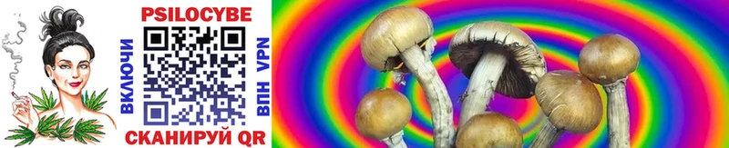 даркнет сайт  Усть-Кут  Псилоцибиновые грибы Psilocybe 