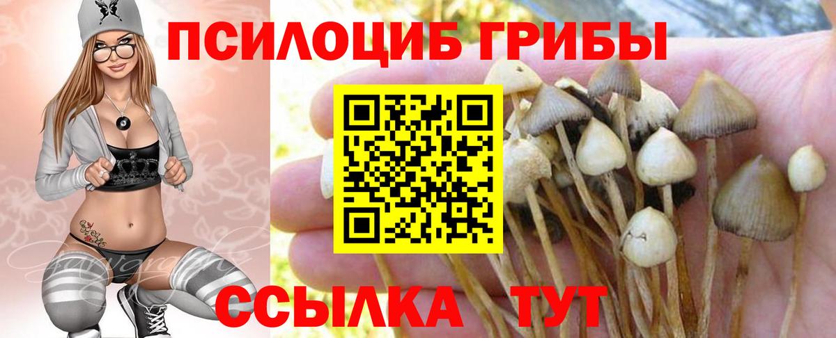 Усть-Кут  Галлюциногенные грибы прущие грибы  Псилоцибиновые грибы Psilocybe  Вход с VPN 